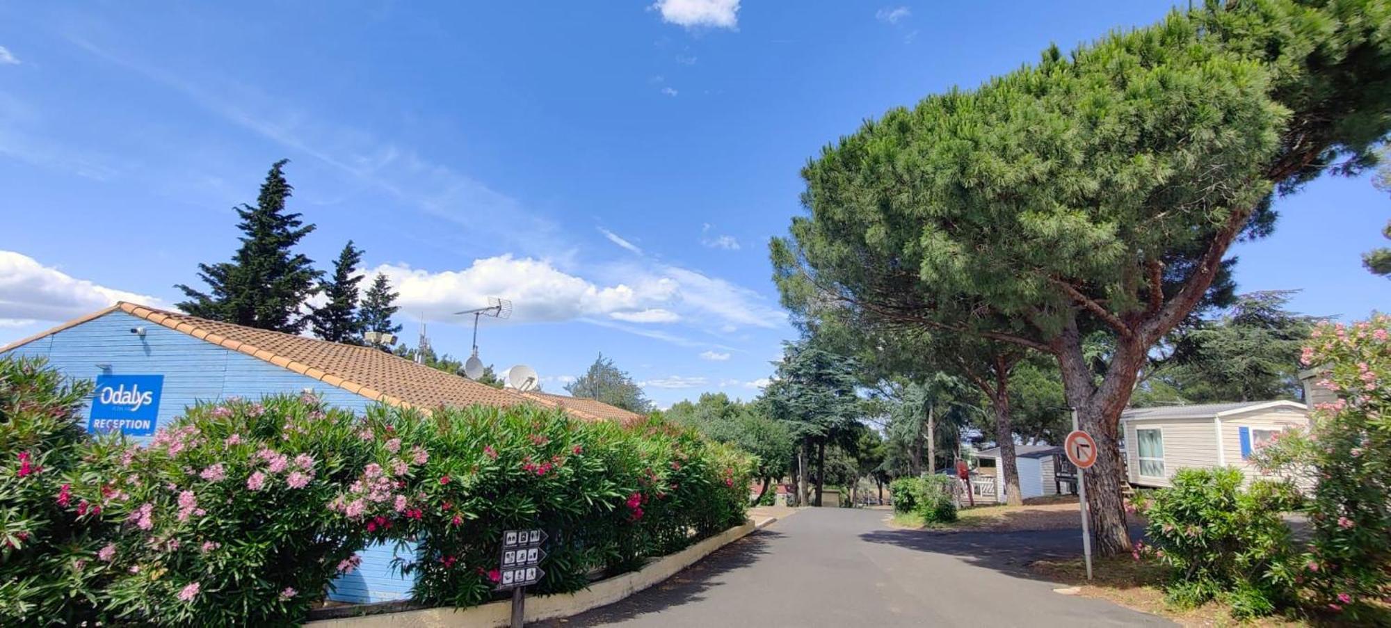 Domaine Residentiel De Plein Air Odalys La Pinede Agde Exterior foto